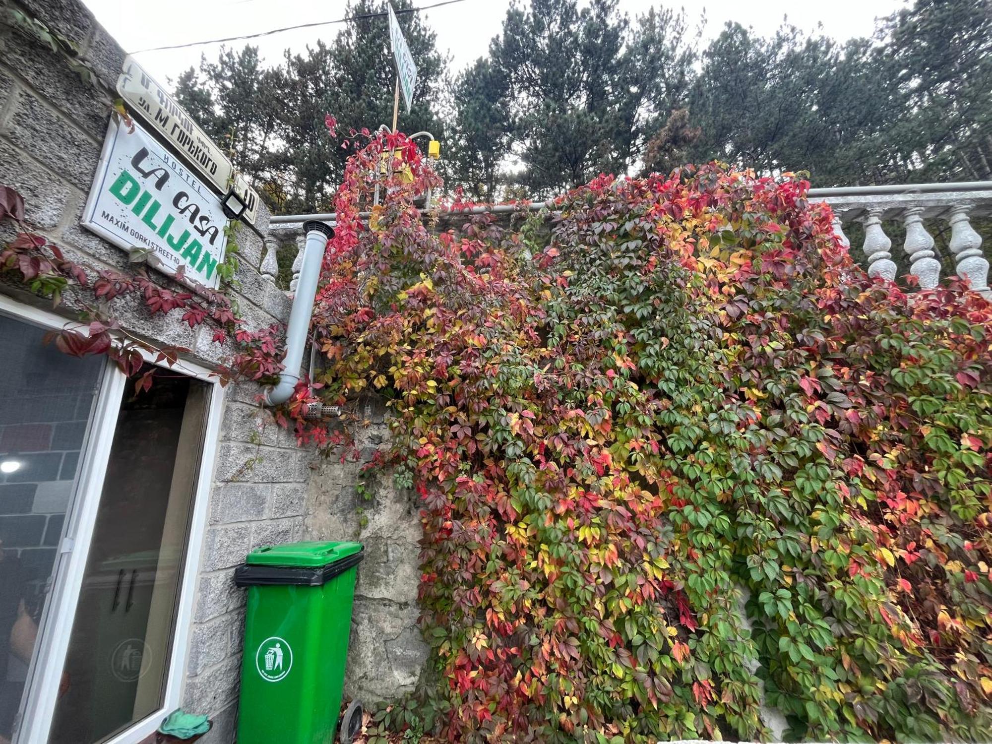Hostel La Casa 迪利然 外观 照片